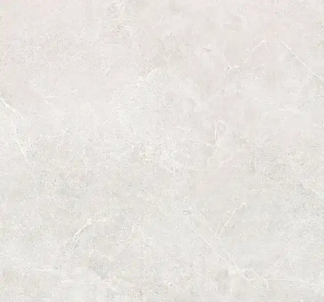S310
